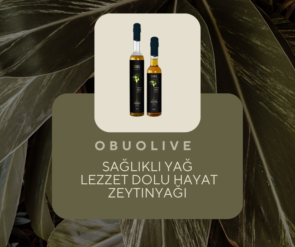 sağlıklı hayat zeytinyağı obu olive